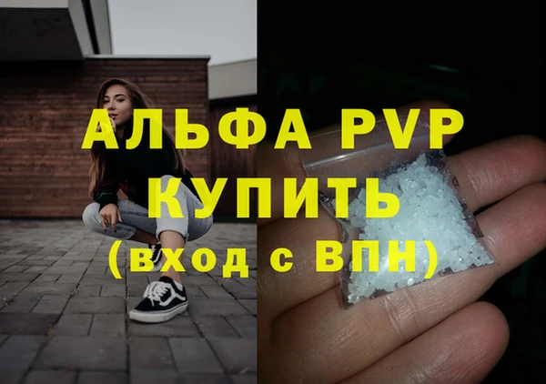 амф Верея