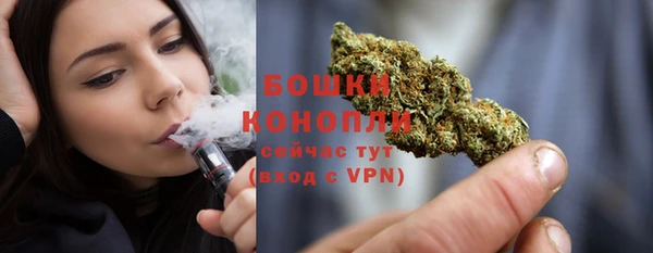 амф Верея
