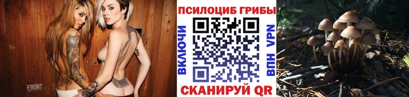 где найти наркотики  Западная Двина  Галлюциногенные грибы ЛСД 