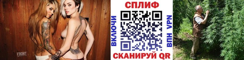 Бошки Шишки OG Kush  кракен как войти  Западная Двина  сколько стоит 